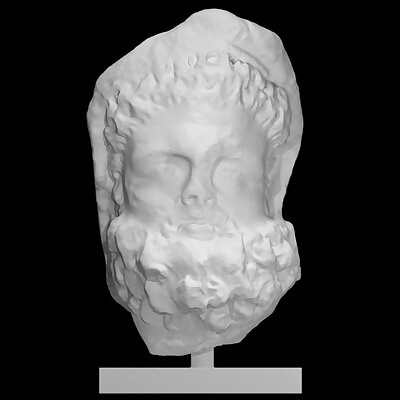 Bearded Hercules Head