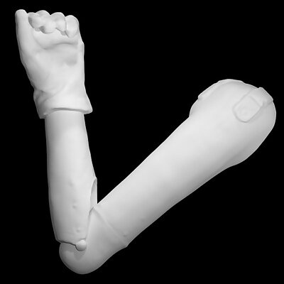 Anatomical prosthetic
