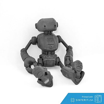 Ankly Robot  3d Printed Assembled