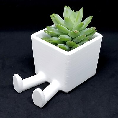 Succulent Planter  3D printed planter  Legged Planter