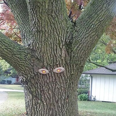 Spooky Tree Eyes Kit For Halloween