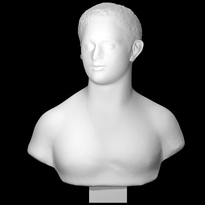 Bust of a young man