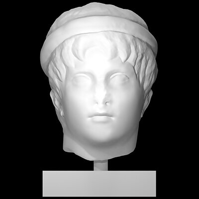 Head of a young man wearing a diadem