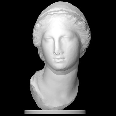 Female portrait head