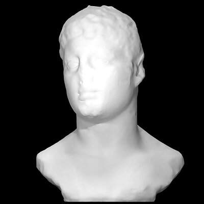 Portrait bust of a young man
