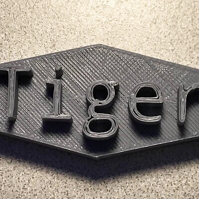 Tiger Brand Logo Design