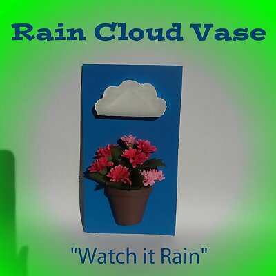 Rain Cloud pot plant vase