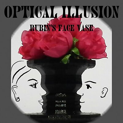 Optical Illusion Vase Rubins Vase Negative space image