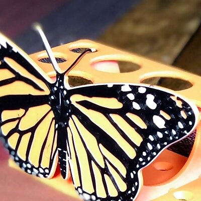 Monarch butterfly conical tube rack
