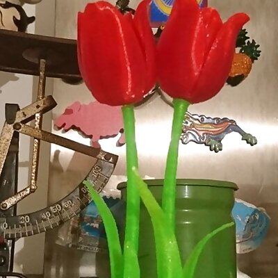 Magnetic tulip