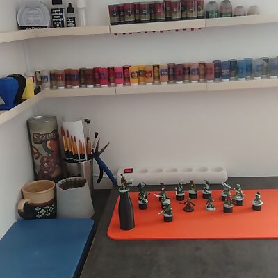 Miniature paint organizer