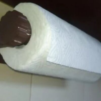 Paper towel holder