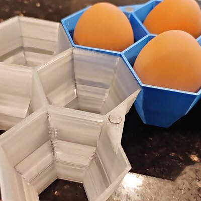 Modular Magnetic Customizable Egg Cartons