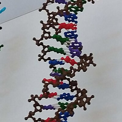 DNA building kit