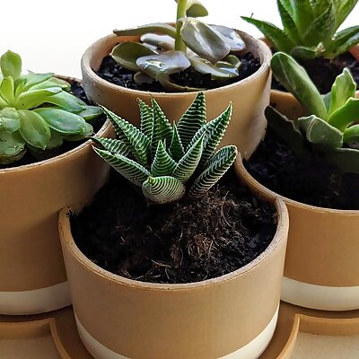 Plant Pot for 5 Plants with Tray