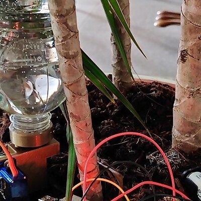 Automatic Plant watering system ultra cheap