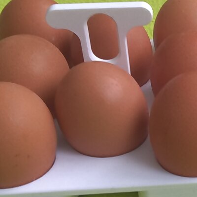 Eggs holder 8pcs