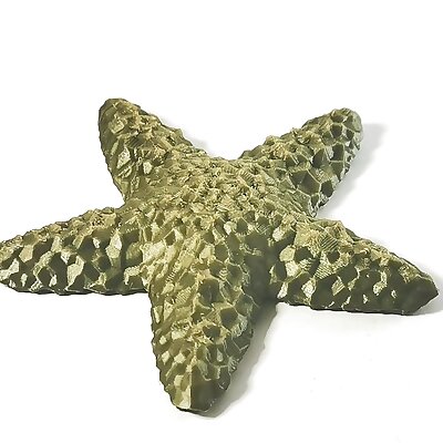 Pyrite Starfish