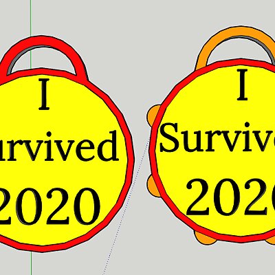 2020 Survivor Token