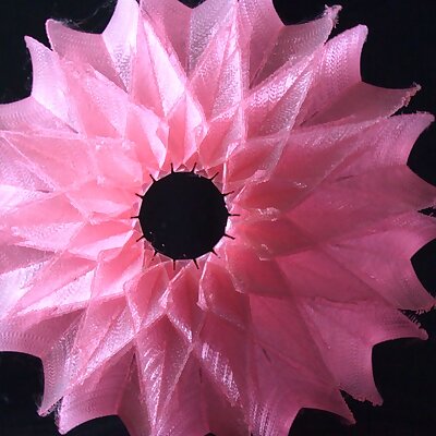 Pink Eucalypt Drop Light