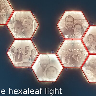 Lithophane Hexaleaf LED panel