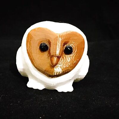 Love Owl  單、雙噴頭均可