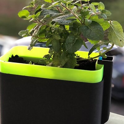 Selfwatering rectangular planter with optional labels