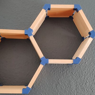 Hexagon Shelf System