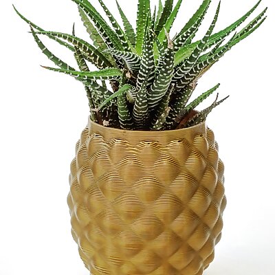 Pineapple planter