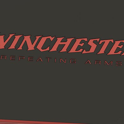 Winchester 3006 Case