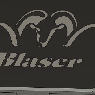 Blaser 93 x 62 Case