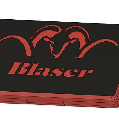 Blaser 308 Case