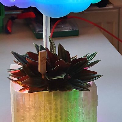 Reactive Weather Lamp Flower Pot