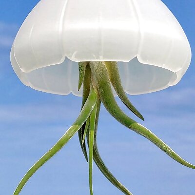 Jellyfish air plant holder