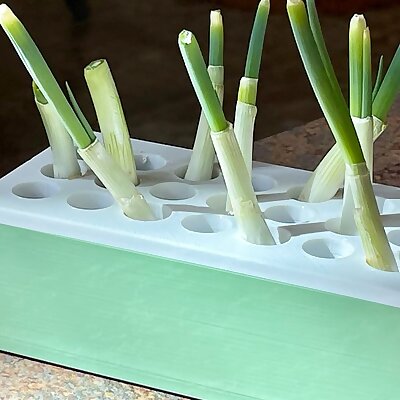 Onion sprouting box