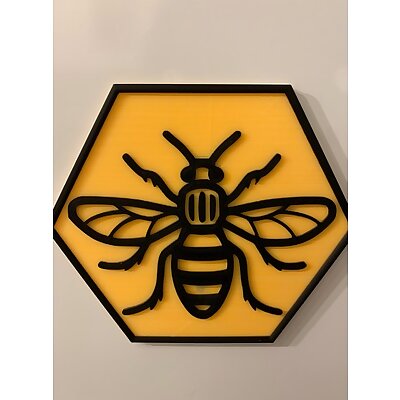 Manchester Bee in Hexagon