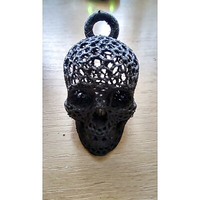 voronoi skull