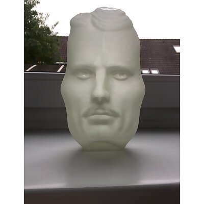 The Vase Face  Tesla  Einstein  Hollow Face Illusion