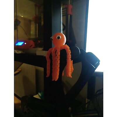 Flexible Octopus  Wider Eyes