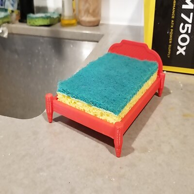 Even sponges need a bed