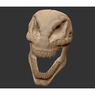 Venom skull