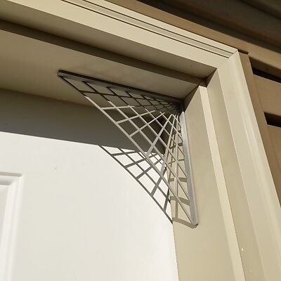 Spider web for corner of door