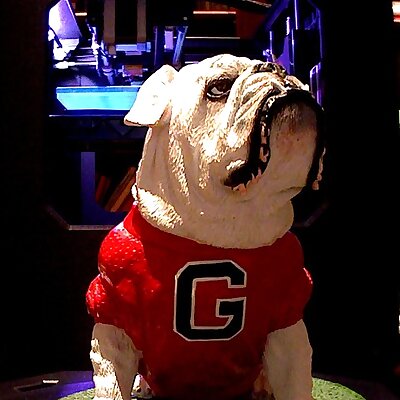 UGA Georgia Bulldog