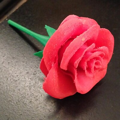 Rose with stem