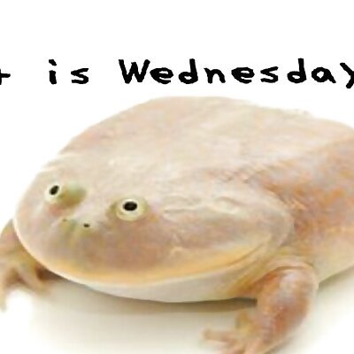 It is wednesday my dudes frog meme