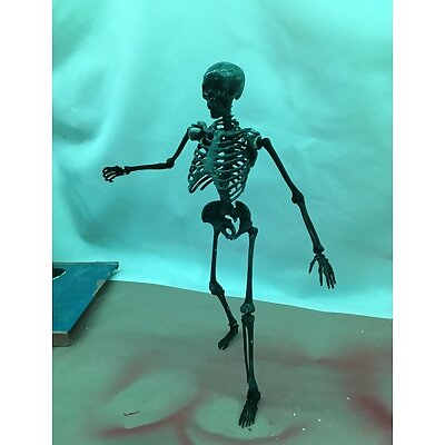 Posable Skeleton  Mr Bones Remix