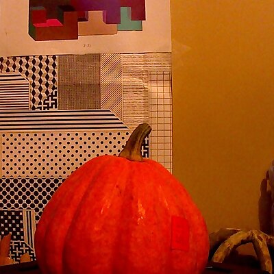 Lil pumpkin rescanned with MultiScan