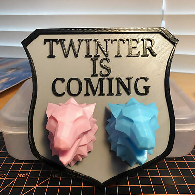 Twinter is Coming