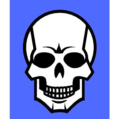 Skull  6