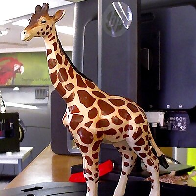 Giraffee test